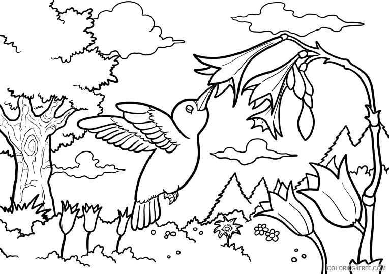 Bird Coloring Sheets Animal Coloring Pages Printable 2021 0387 Coloring4free