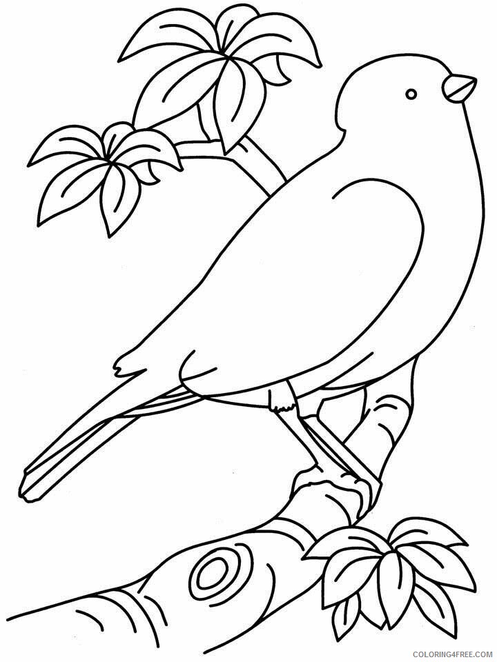 Bird Coloring Sheets Animal Coloring Pages Printable 2021 0401 Coloring4free