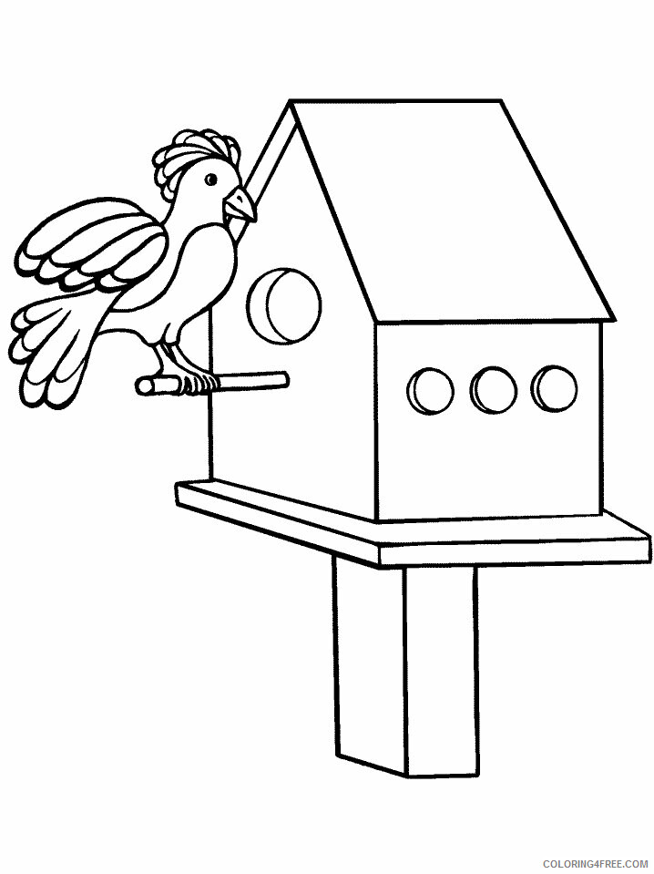 Birds Coloring Pages Animal Printable Sheets 18 2021 0439 Coloring4free