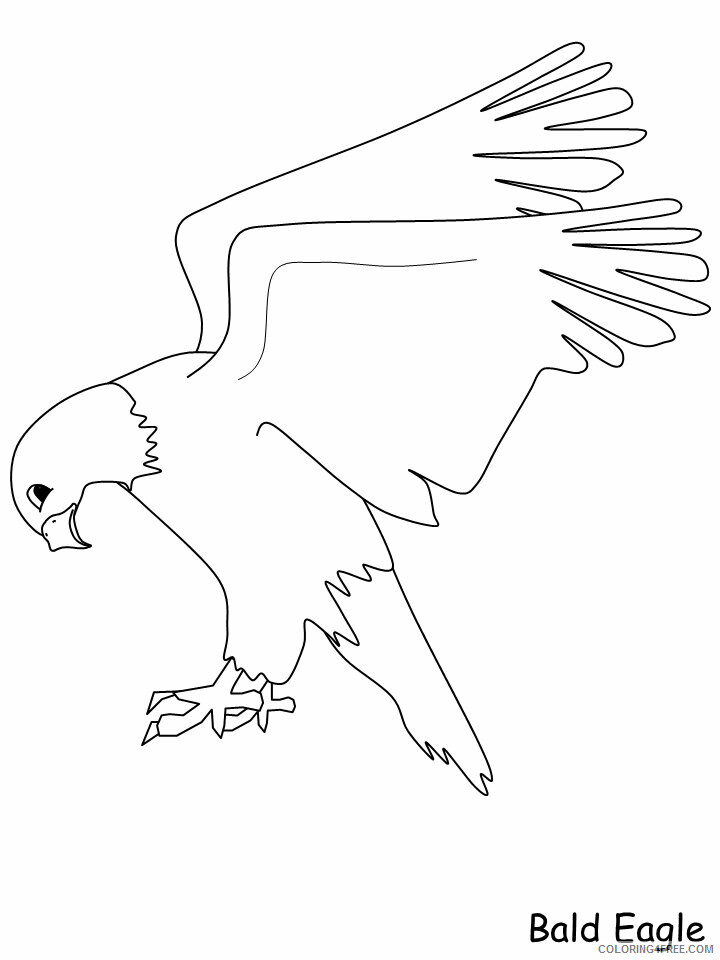 Birds Coloring Pages Animal Printable Sheets baldeagle2 2021 0448 Coloring4free