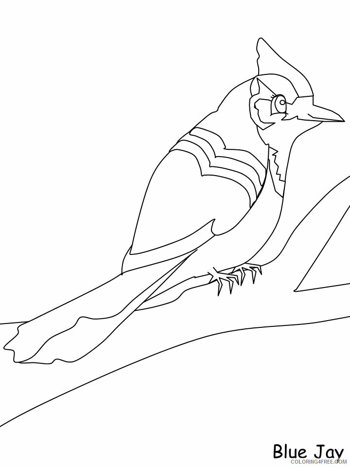 Birds Coloring Pages Animal Printable Sheets bluejay 2021 0451 Coloring4free