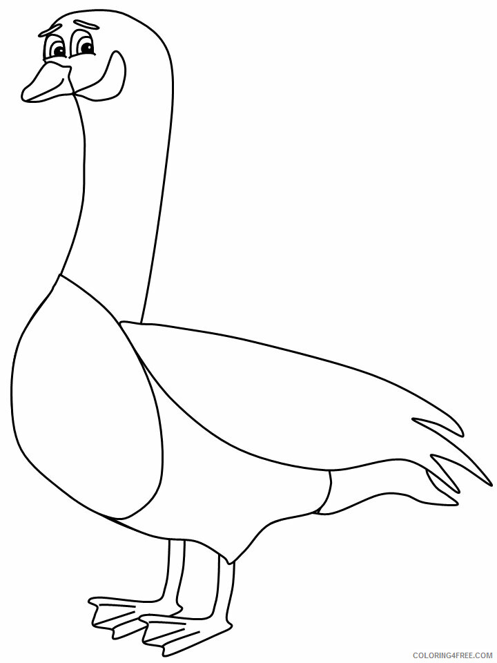 Birds Coloring Pages Animal Printable Sheets canada goose 2021 0452 Coloring4free