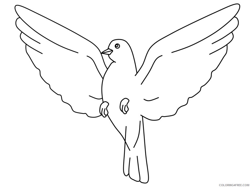 Birds Coloring Pages Animal Printable Sheets dove2 2021 0457 Coloring4free