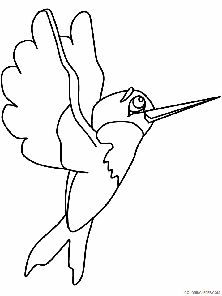 Birds Coloring Pages Animal Printable Sheets hummingbird2 2021 0472 Coloring4free