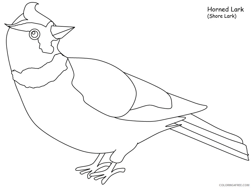 Birds Coloring Pages Animal Printable Sheets lark 2021 0474 Coloring4free