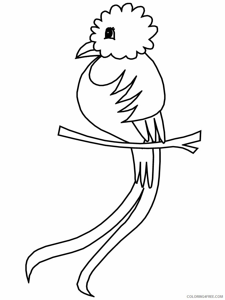 Birds Coloring Pages Animal Printable Sheets quetzal 2021 0492 Coloring4free