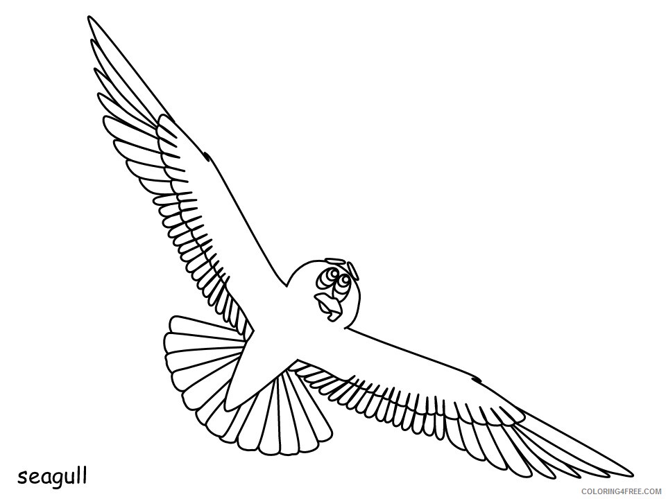 Birds Coloring Pages Animal Printable Sheets seagull2 2021 0497 Coloring4free