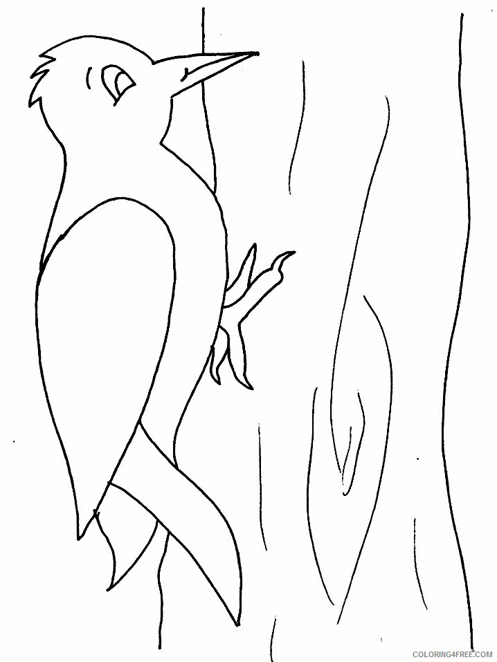 Birds Coloring Pages Animal Printable Sheets woodpecker 2021 0502 Coloring4free