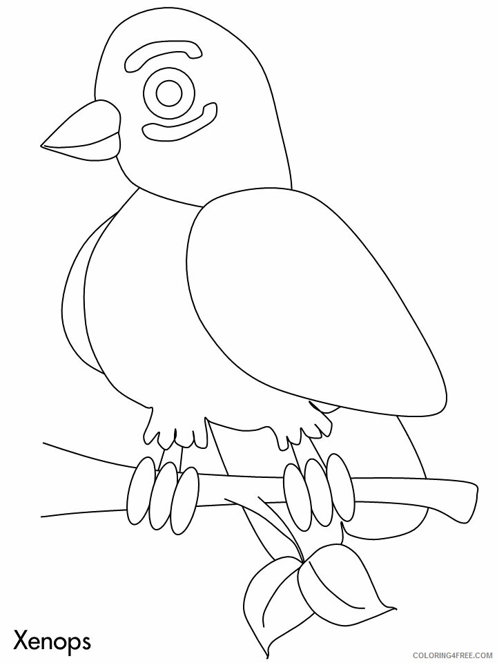 Birds Coloring Pages Animal Printable Sheets xenops 2021 0503 Coloring4free