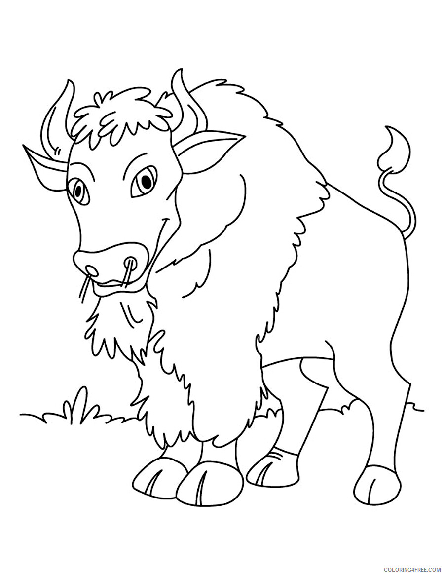 Bison Coloring Pages Animal Printable Sheets Bison 2021 0530 Coloring4free