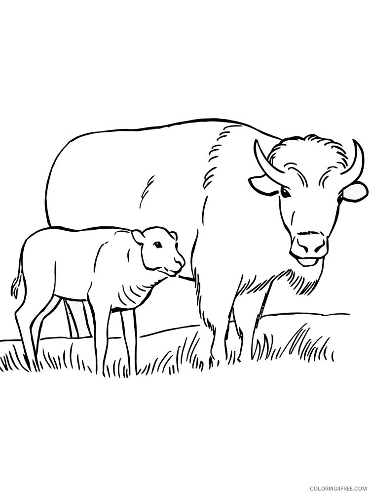 Bison Coloring Pages Animal Printable Sheets bison 10 2021 0506 Coloring4free