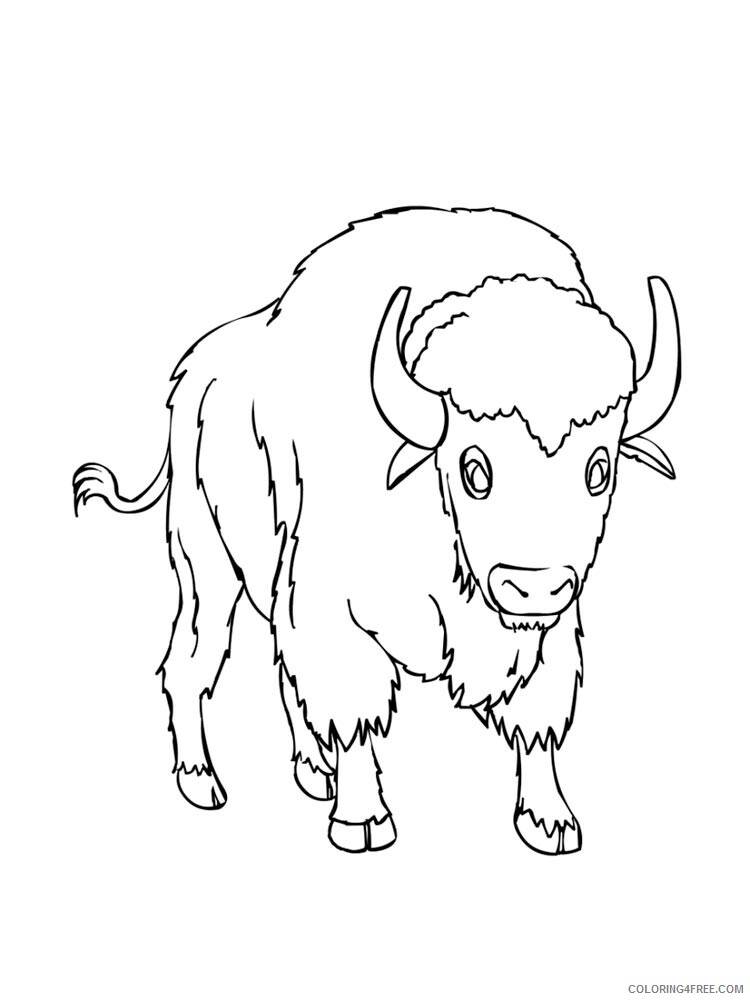 Bison Coloring Pages Animal Printable Sheets bison 15 2021 0511 Coloring4free
