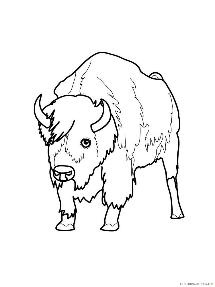 Bison Coloring Pages Animal Printable Sheets bison 16 2021 0512 Coloring4free