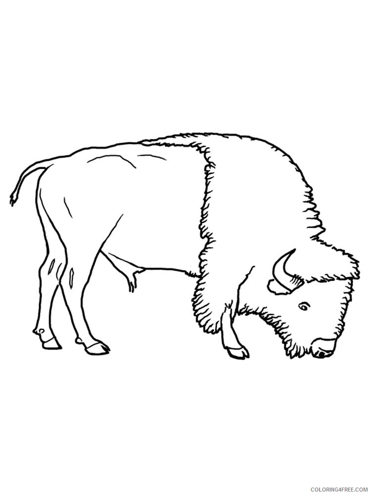 Bison Coloring Pages Animal Printable Sheets bison 18 2021 0513 Coloring4free