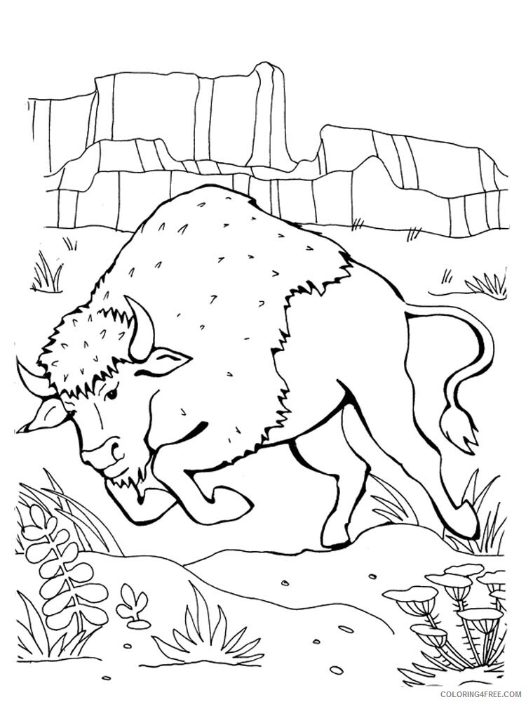 Bison Coloring Pages Animal Printable Sheets bison 20 2021 0516 Coloring4free