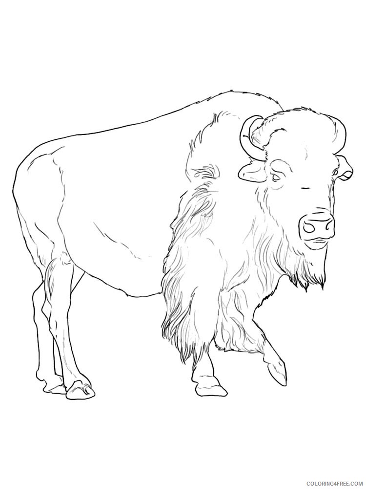 Bison Coloring Pages Animal Printable Sheets bison 21 2021 0517 Coloring4free
