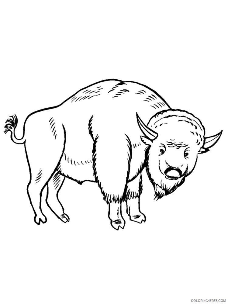 Bison Coloring Pages Animal Printable Sheets bison 25 2021 0519 Coloring4free