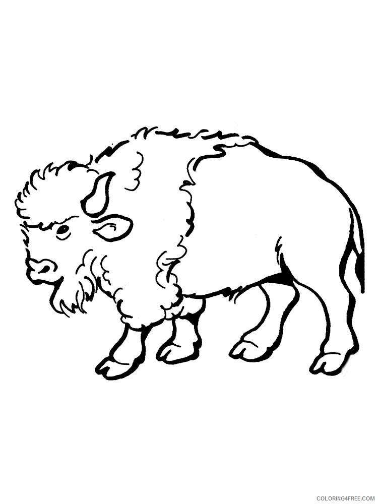 Bison Coloring Pages Animal Printable Sheets bison 4 2021 0522 Coloring4free