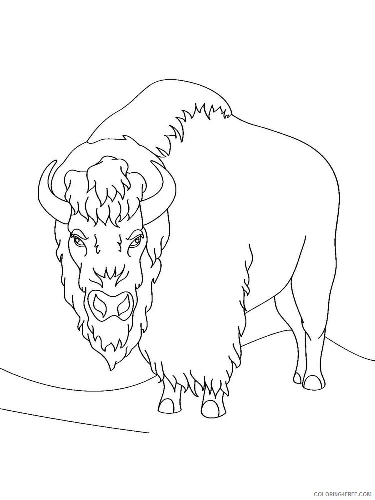 Bison Coloring Pages Animal Printable Sheets bison 6 2021 0524 Coloring4free