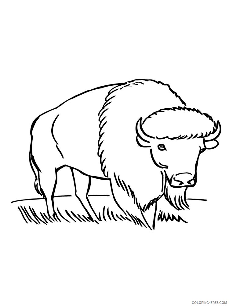 Bison Coloring Pages Animal Printable Sheets bison 9 2021 0527 Coloring4free