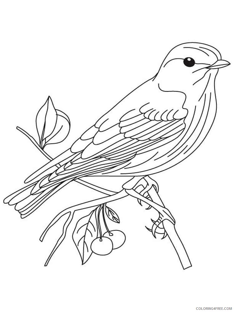 Bluebird Coloring Pages Animal Printable Sheets Bluebird birds 4 2021 0538 Coloring4free