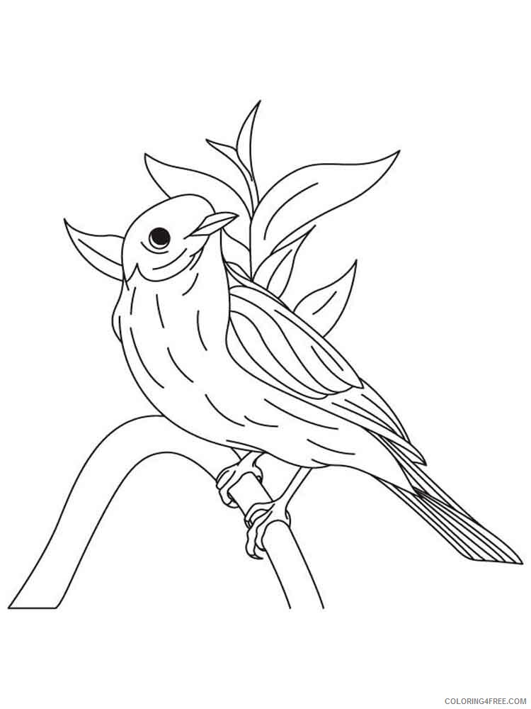 Bluebird Coloring Pages Animal Printable Sheets Bluebird birds 9 2021 0541 Coloring4free