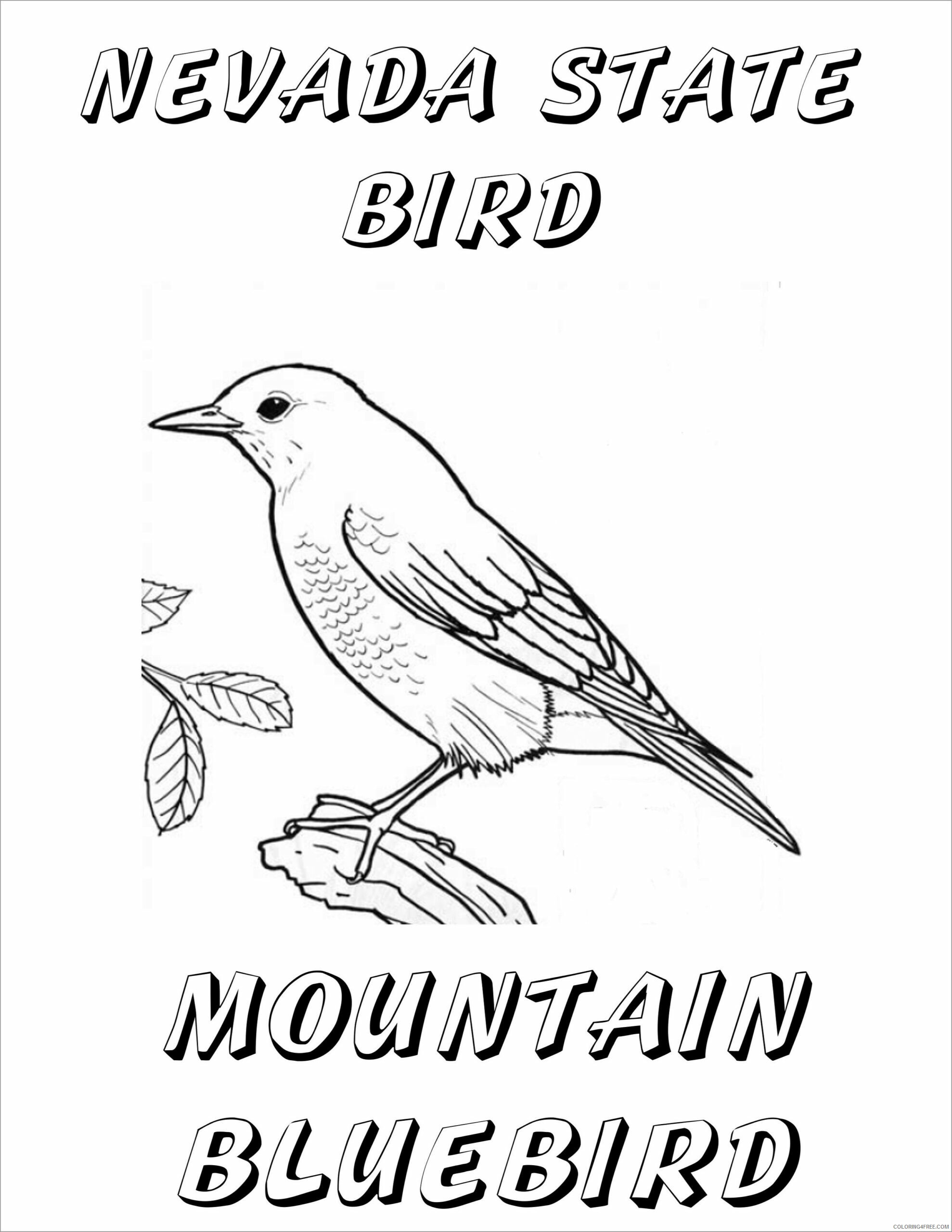 Bluebird Coloring Pages Animal Printable nevada state mountain bluebird 2021 0542 Coloring4free
