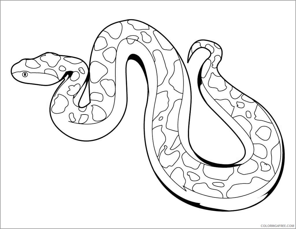 Boa Snake Coloring Pages Animal Printable Sheets boa for kids 2021 0544 Coloring4free