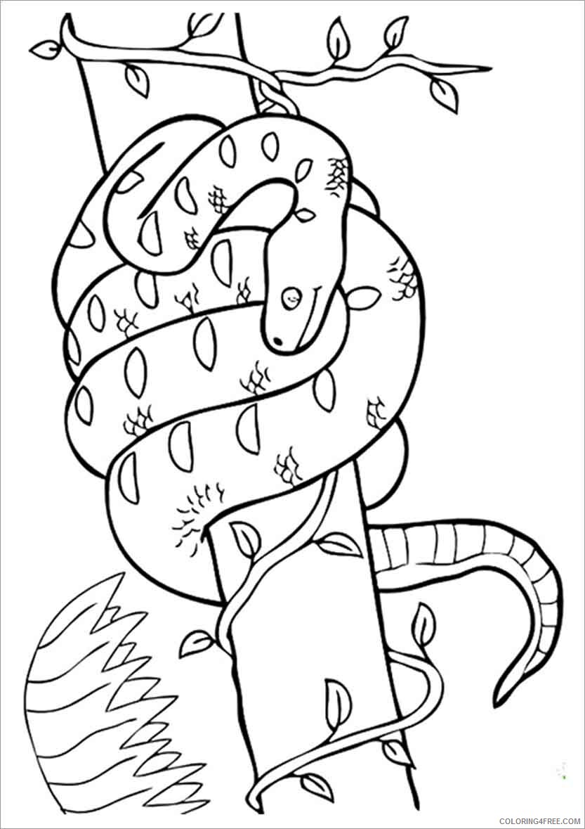 Boa Snake Coloring Pages Animal Printable boa snake lives in trees 2021 0554 Coloring4free