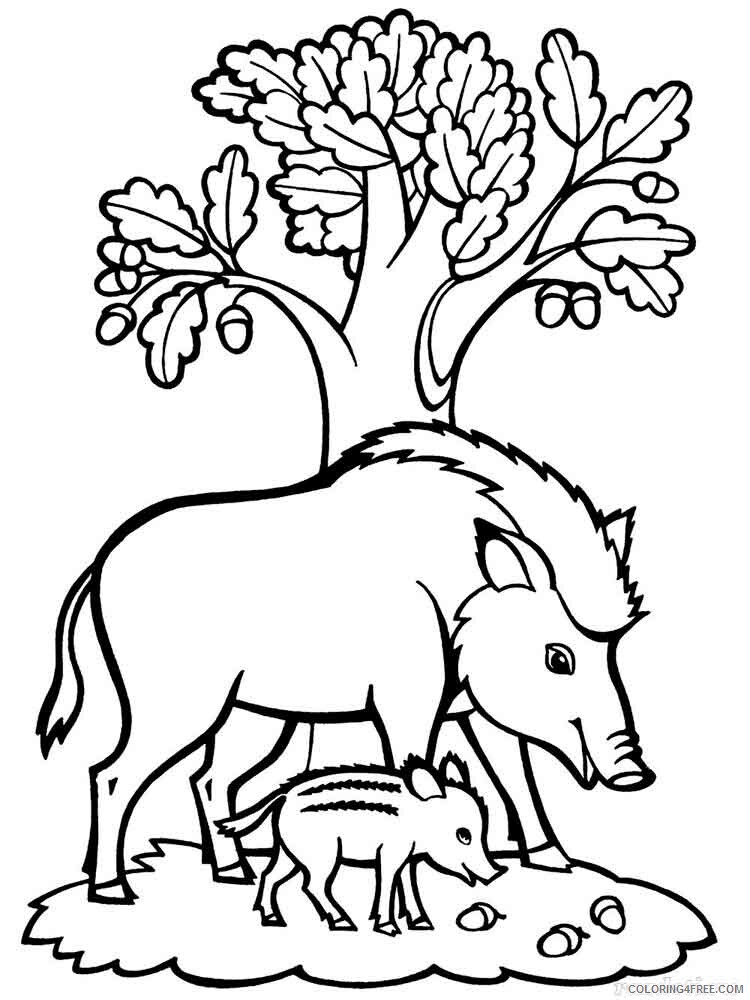 Boar Coloring Pages Animal Printable Sheets boar 1 2021 0555 Coloring4free