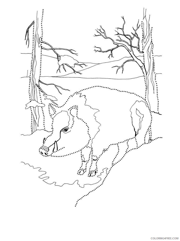 Boar Coloring Pages Animal Printable Sheets boar 2 2021 0558 Coloring4free