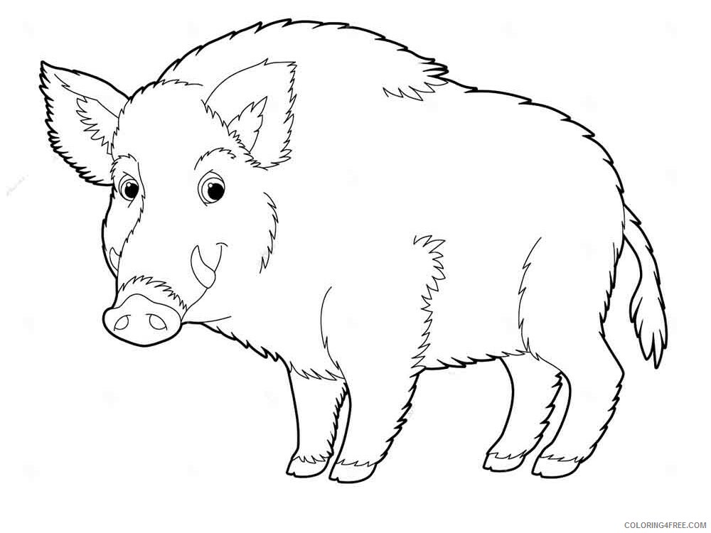 Boar Coloring Pages Animal Printable Sheets boar 8 2021 0561 Coloring4free