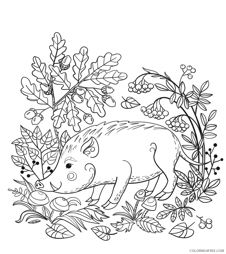 Boar Coloring Pages Animal Printable Sheets wild boar 2021 0563 Coloring4free