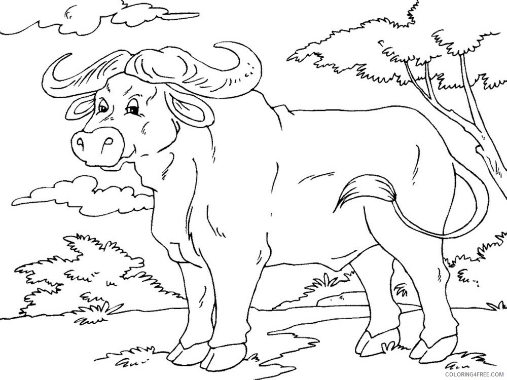Buffalo Coloring Pages Animal Printable Sheets buffalo 14 2021 0572 Coloring4free