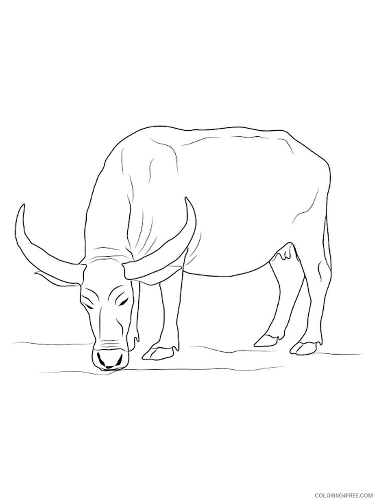 Buffalo Coloring Pages Animal Printable Sheets buffalo 18 2021 0574 Coloring4free