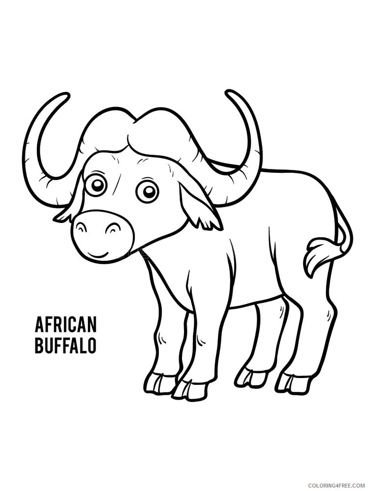 Buffalo Coloring Pages Animal Printable Sheets buffalo 20 2021 0576 Coloring4free