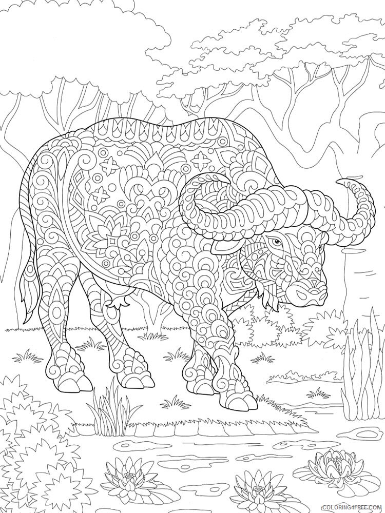 Buffalo Coloring Pages Animal Printable Sheets buffalo 3 2021 0577 Coloring4free