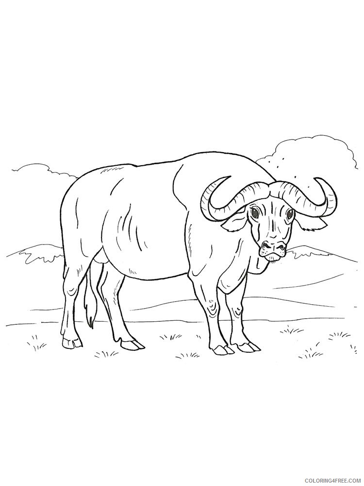 Buffalo Coloring Pages Animal Printable Sheets buffalo 7 2021 0581 Coloring4free