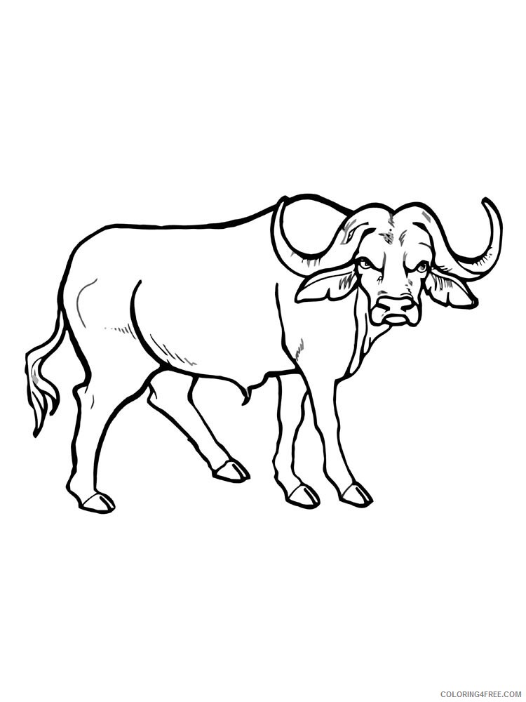 Buffalo Coloring Pages Animal Printable Sheets buffalo 8 2021 0582 Coloring4free