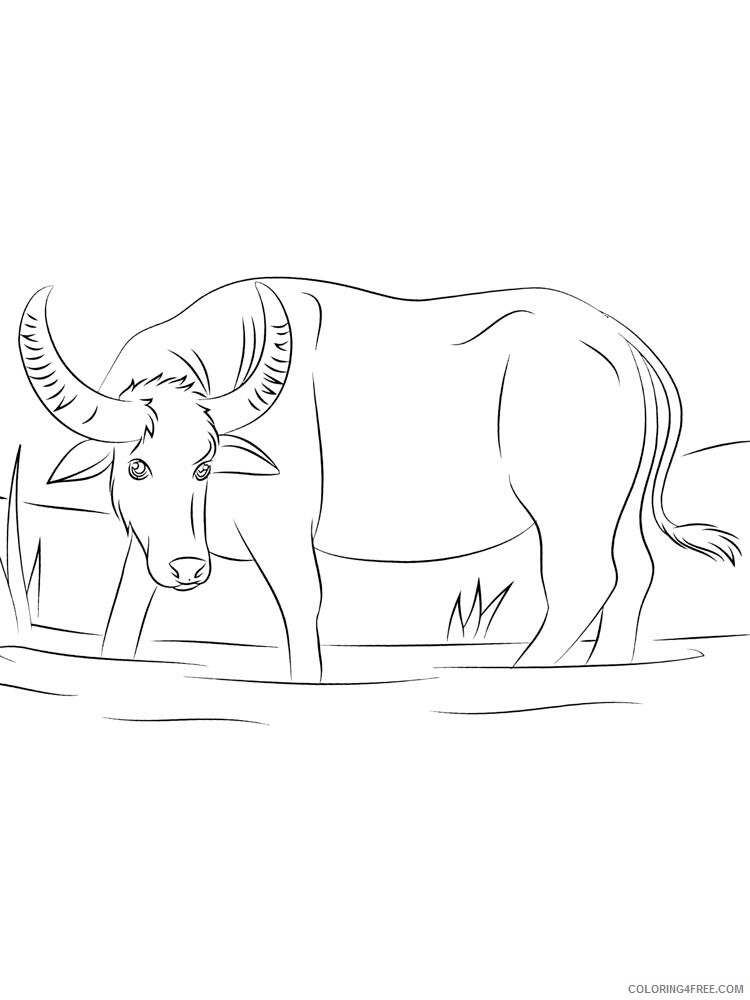 Buffalo Coloring Pages Animal Printable Sheets buffalo 9 2021 0583 Coloring4free