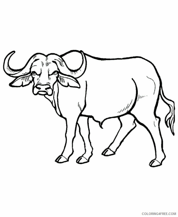 Buffalo Coloring Sheets Animal Coloring Pages Printable 2021 0425 Coloring4free