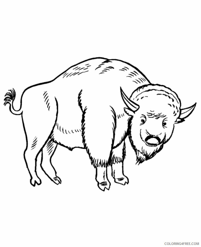 Buffalo Coloring Sheets Animal Coloring Pages Printable 2021 0428 Coloring4free