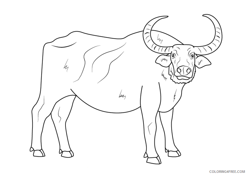 Buffalo Coloring Sheets Animal Coloring Pages Printable 2021 0434 Coloring4free