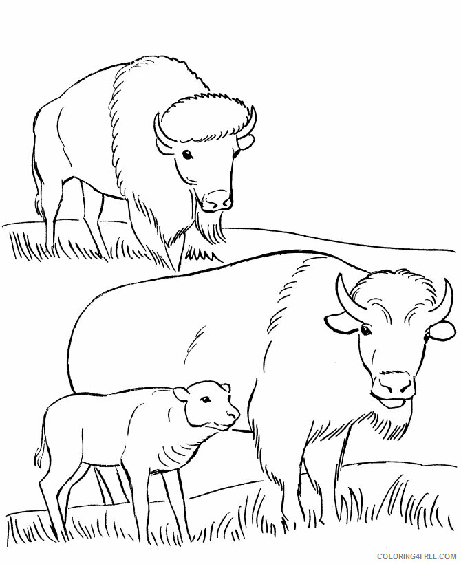 Buffalo Coloring Sheets Animal Coloring Pages Printable 2021 0435 Coloring4free