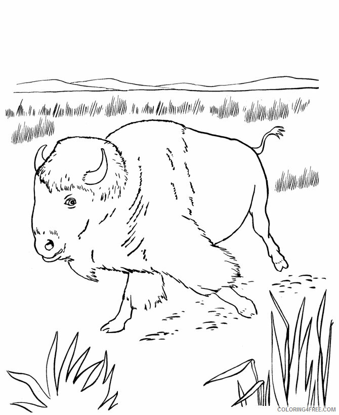 Buffalo Coloring Sheets Animal Coloring Pages Printable 2021 0439 Coloring4free