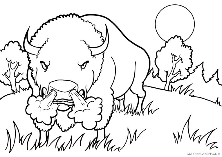 Buffalo Coloring Sheets Animal Coloring Pages Printable 2021 0443 Coloring4free
