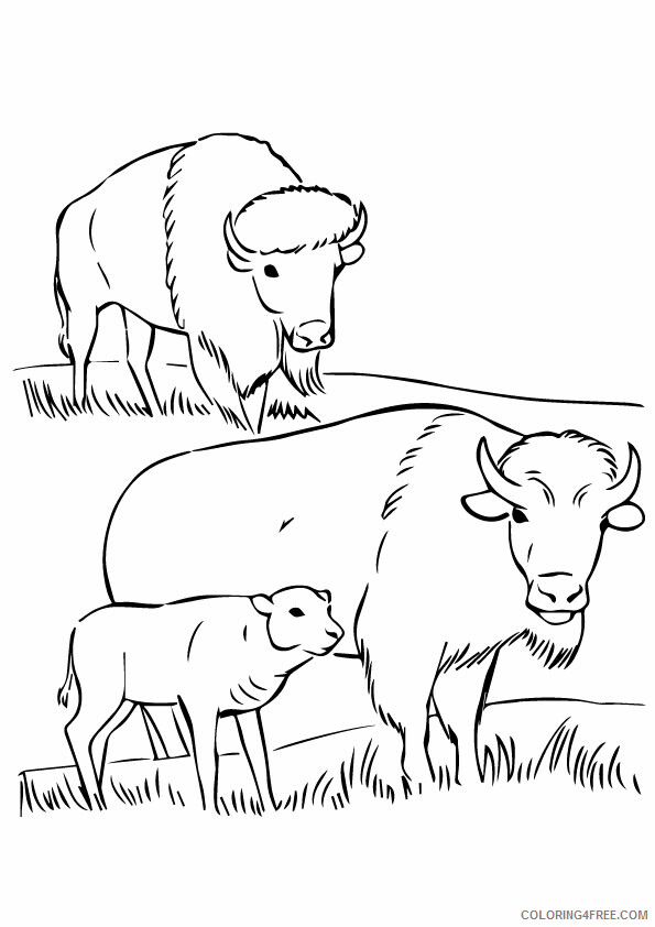 Buffalo Coloring Sheets Animal Coloring Pages Printable 2021 0446 Coloring4free
