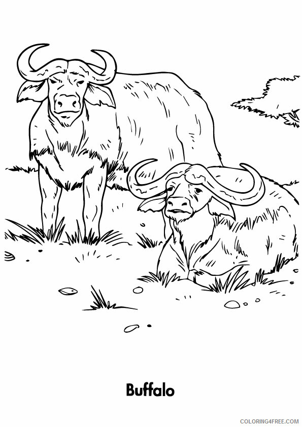 Buffalo Coloring Sheets Animal Coloring Pages Printable 2021 0451 Coloring4free