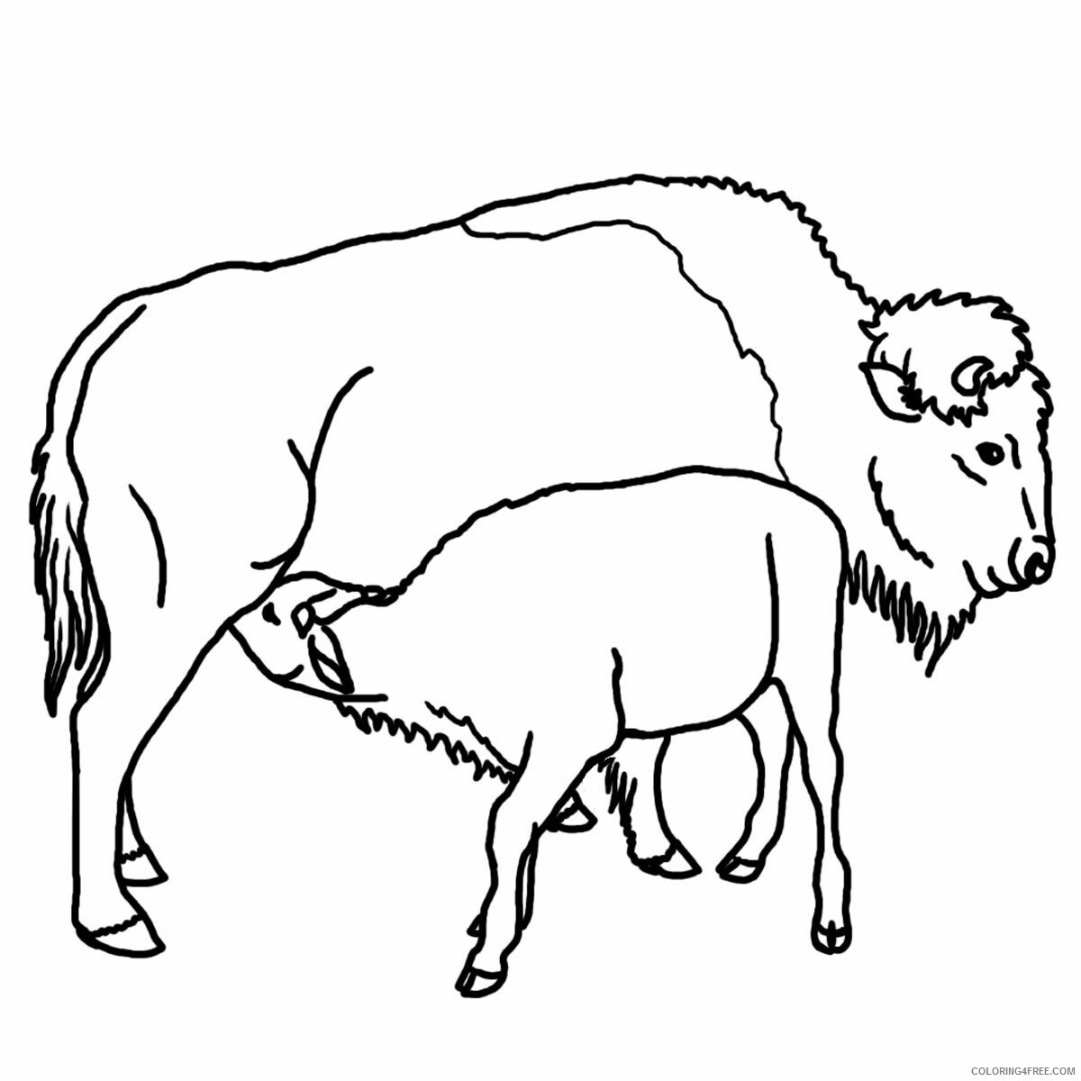 Buffalo Coloring Sheets Animal Coloring Pages Printable 2021 0456 Coloring4free