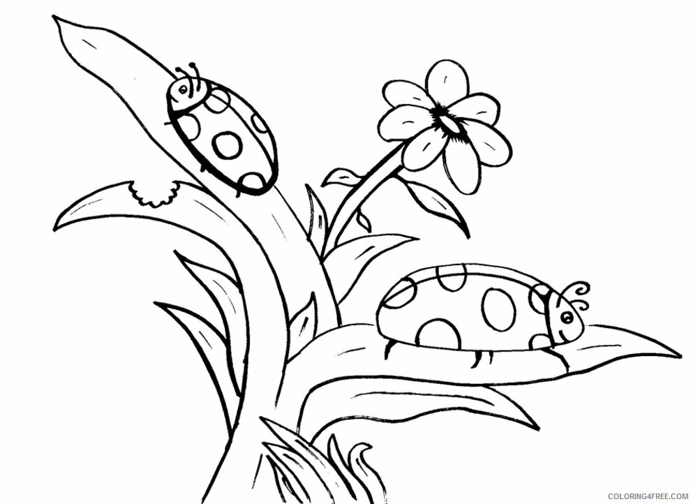 Bug Coloring Sheets Animal Coloring Pages Printable 2021 0461 Coloring4free